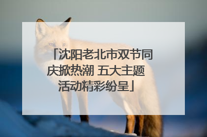 沈阳老北市双节同庆掀热潮 五大主题活动精彩纷呈