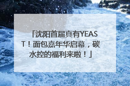 沈阳首届真有YEAST！面包嘉年华启幕，碳水控的福利来啦！