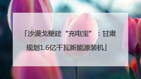 沙漠戈壁建“充电宝”：甘肃规划1.6亿千瓦新能源装机