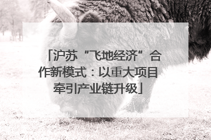 沪苏“飞地经济”合作新模式：以重大项目牵引产业链升级