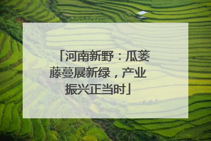 河南新野：瓜蒌藤蔓展新绿，产业振兴正当时