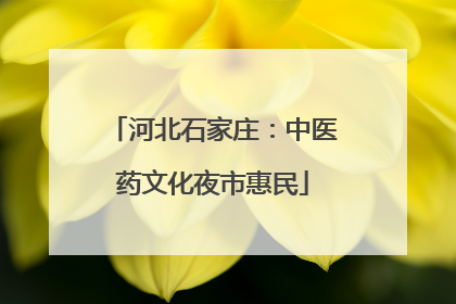 河北石家庄：中医药文化夜市惠民