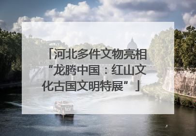 河北多件文物亮相“龙腾中国：红山文化古国文明特展”