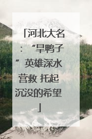 河北大名：“旱鸭子”英雄深水营救 托起沉没的希望