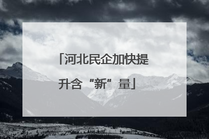 河北民企加快提升含“新”量