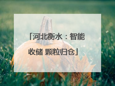 河北衡水：智能收储 颗粒归仓