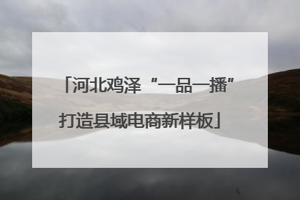 河北鸡泽“一品一播”打造县域电商新样板