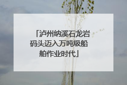 泸州纳溪石龙岩码头迈入万吨级船舶作业时代