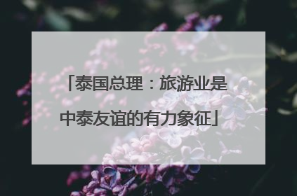 泰国总理：旅游业是中泰友谊的有力象征