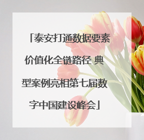 泰安打通数据要素价值化全链路径 典型案例亮相第七届数字中国建设峰会