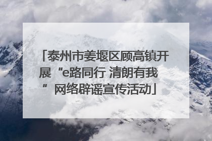 泰州市姜堰区顾高镇开展“e路同行 清朗有我”网络辟谣宣传活动