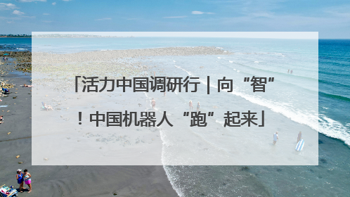 活力中国调研行｜向“智”！中国机器人“跑”起来