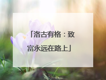 洛古有格：致富永远在路上