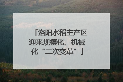 洛阳水稻主产区迎来规模化、机械化“二次变革”