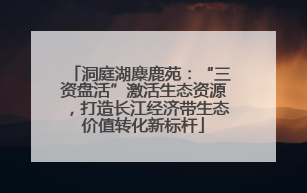 洞庭湖麋鹿苑：“三资盘活”激活生态资源，打造长江经济带生态价值转化新标杆
