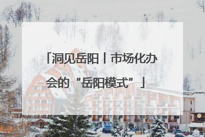 洞见岳阳丨市场化办会的“岳阳模式”