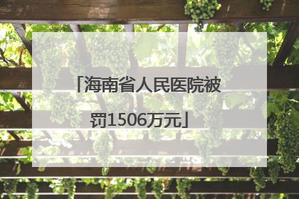 海南省人民医院被罚1506万元