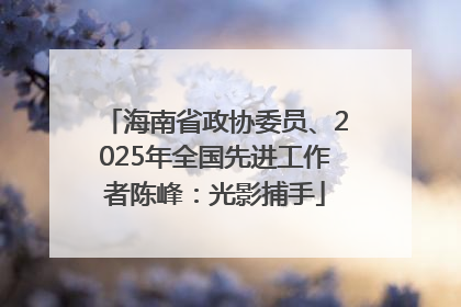 海南省政协委员、2025年全国先进工作者陈峰：光影捕手