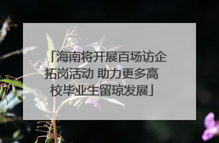海南将开展百场访企拓岗活动 助力更多高校毕业生留琼发展
