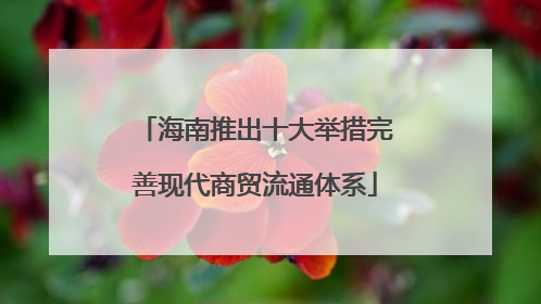 海南推出十大举措完善现代商贸流通体系