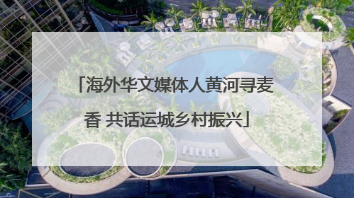 海外华文媒体人黄河寻麦香 共话运城乡村振兴