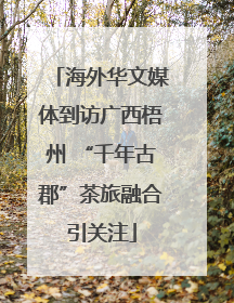 海外华文媒体到访广西梧州 “千年古郡”茶旅融合引关注