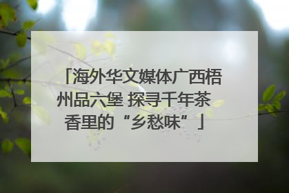 海外华文媒体广西梧州品六堡 探寻千年茶香里的“乡愁味”