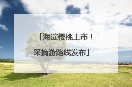 海淀樱桃上市！采摘游路线发布