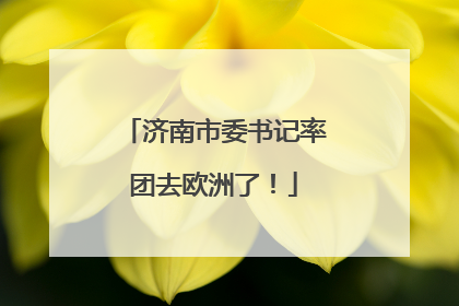 济南市委书记率团去欧洲了！