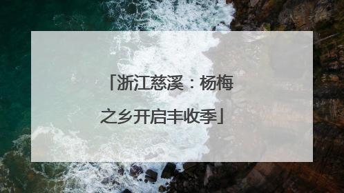 浙江慈溪：杨梅之乡开启丰收季
