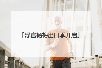 浮宫杨梅出口季开启