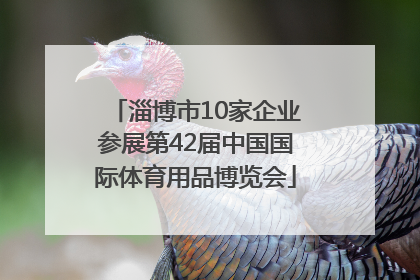 淄博市10家企业参展第42届中国国际体育用品博览会