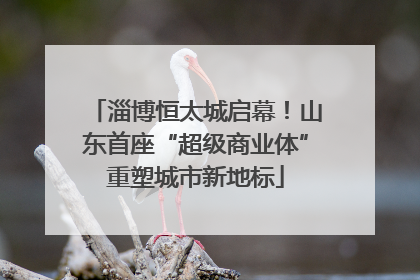 淄博恒太城启幕！山东首座“超级商业体”重塑城市新地标