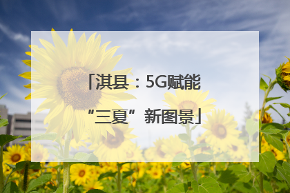 淇县：5G赋能“三夏”新图景