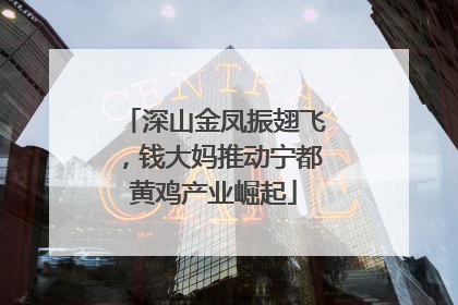 深山金凤振翅飞，钱大妈推动宁都黄鸡产业崛起