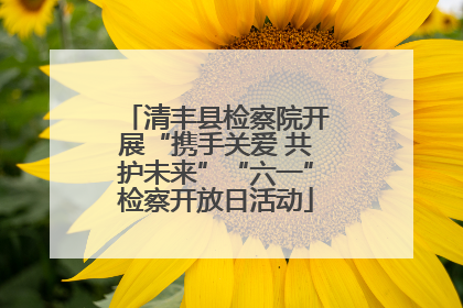 清丰县检察院开展“携手关爱 共护未来”“六一”检察开放日活动