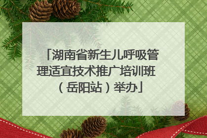 湖南省新生儿呼吸管理适宜技术推广培训班（岳阳站）举办