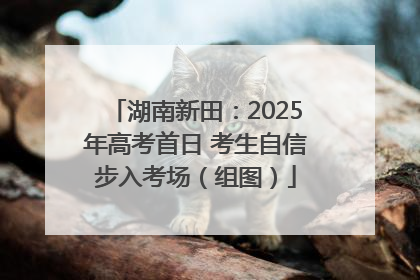 湖南新田：2025年高考首日 考生自信步入考场（组图）