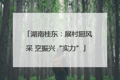湖南桂东：展村厨风采 烹振兴“实力”