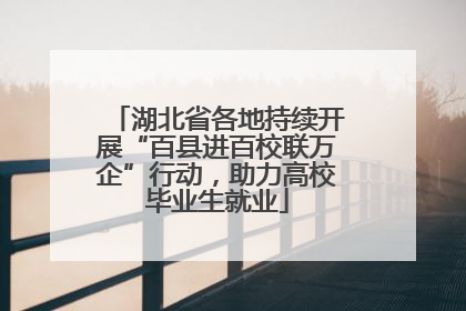 湖北省各地持续开展“百县进百校联万企”行动，助力高校毕业生就业