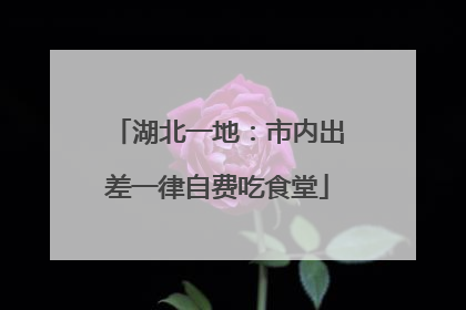 湖北一地：市内出差一律自费吃食堂