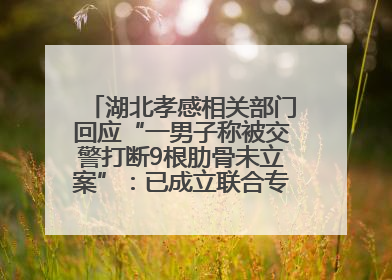 湖北孝感相关部门回应“一男子称被交警打断9根肋骨未立案”：已成立联合专班开展工作