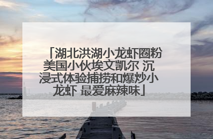 湖北洪湖小龙虾圈粉美国小伙埃文凯尔 沉浸式体验捕捞和爆炒小龙虾 最爱麻辣味