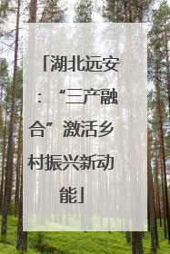 湖北远安：“三产融合”激活乡村振兴新动能