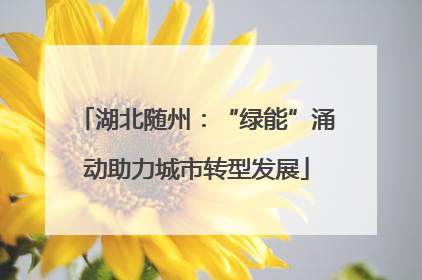 湖北随州：“绿能”涌动助力城市转型发展