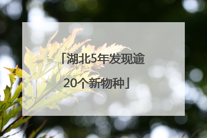湖北5年发现逾20个新物种