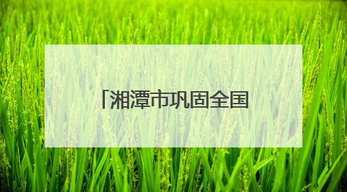 湘潭市巩固全国禁毒示范城市创建成果暨深入开展新时代禁毒人民战争新闻发布会答记者问摘录
