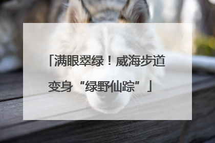 满眼翠绿！威海步道变身“绿野仙踪”