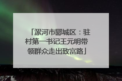漯河市郾城区：驻村第一书记王元明带领群众走出致富路