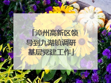 漳州高新区领导到九湖镇调研基层党建工作